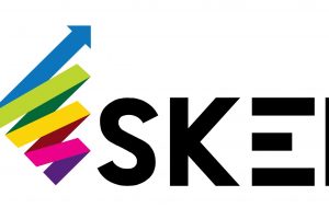 SKEI – logo